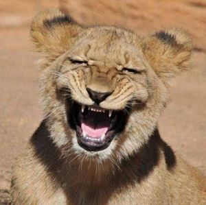 Meet your Posher, Shawna